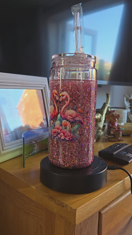 Snowglobe,  Flamingos